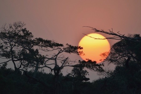 DÉL-AFRIKAI KÖRUTAZÁS FOKVÁROS-SZAFARI-SUN CITY - 6