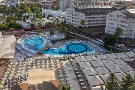 Lonicera World - 131