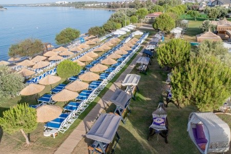 Maxeria Blue Didyma - 196