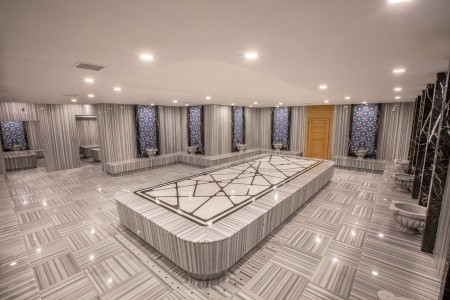 Maxeria Blue Didyma - 205