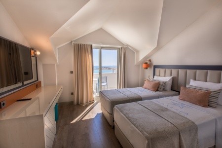 Maxeria Blue Didyma - 211