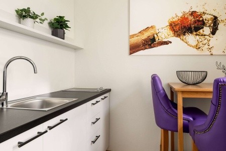 Amedia Plaza Wels, Trademark Collection By Wyndham - 13