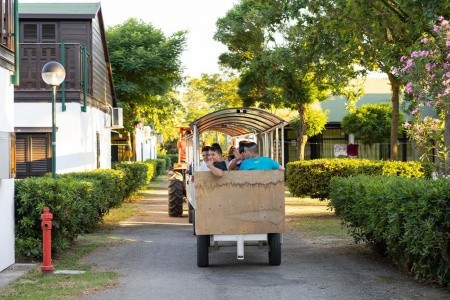 Residence Mare Pineta - 17