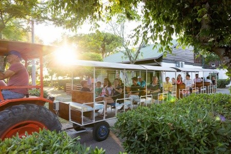 Residence Mare Pineta - 18