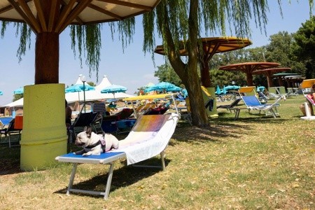 Residence Mare Pineta - 22