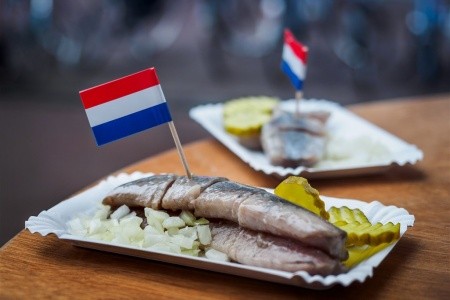 Amsterdam s návštěvou Zaanse Schans - 3