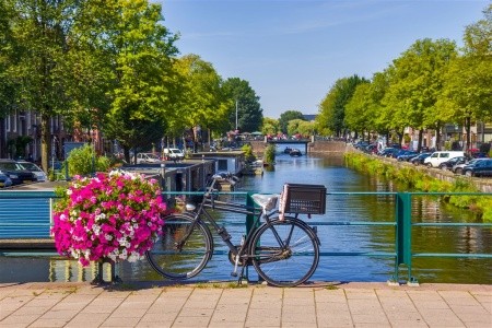 Amsterdam s návštěvou Zaanse Schans - 6