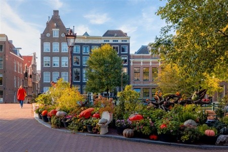 Amsterdam s návštěvou Zaanse Schans - 9