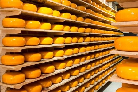 Amsterdam s návštěvou Zaanse Schans - 24