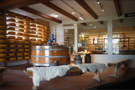 Amsterdam s návštěvou Zaanse Schans - 27