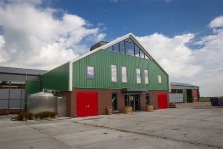 Amsterdam s návštěvou Zaanse Schans - 28