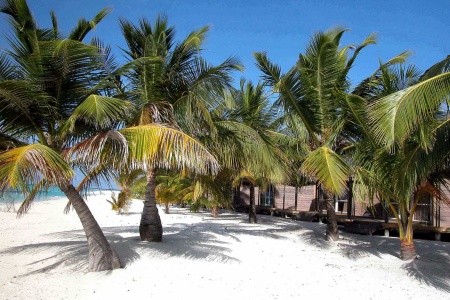 Kuredu Island Resort - 4