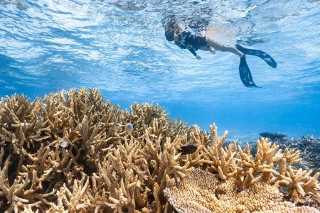 Park Hyatt Hadahaa - 50