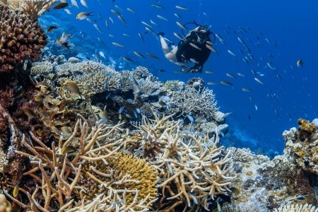 Park Hyatt Hadahaa - 51