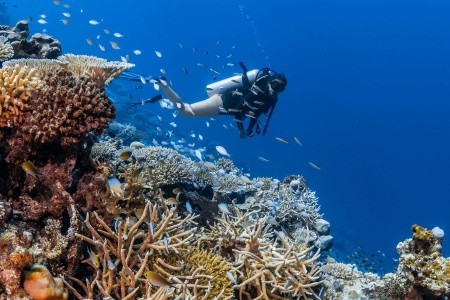 Park Hyatt Hadahaa - 52
