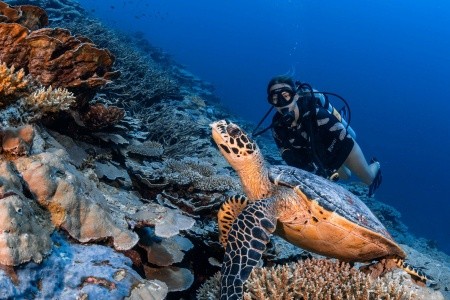 Park Hyatt Hadahaa - 53