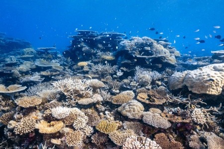 Park Hyatt Hadahaa - 54