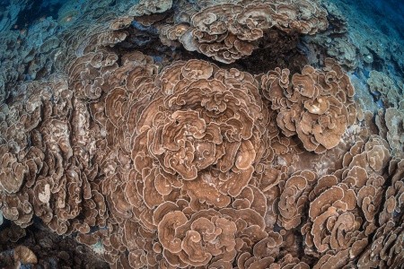 Park Hyatt Hadahaa - 55