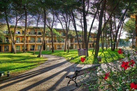 Španielsko Mallorca Vell Marí Hotel & Resort 11 dňový pobyt All Inclusive Letecky Letisko: Praha June 2026 (30/06/26-10/07/26)