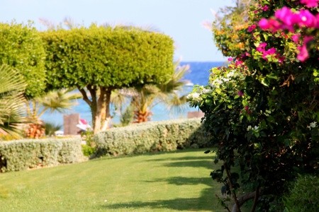 Royal Brayka Resort - 87