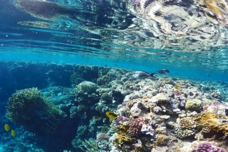 Royal Brayka Resort - 99