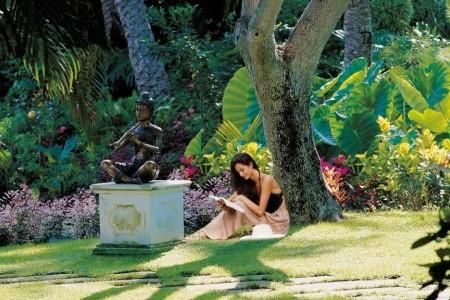 Kanárske ostrovy Tenerife Botánico & The Oriental Spa Garden 8 dňový pobyt Polpenzia Letecky Letisko: Budapešť September 2026 (29/09/26- 6/10/26)