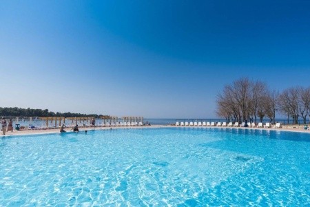 Apartments Katoro Plava Laguna - 29