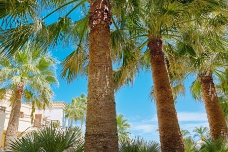 Grécko Kréta Grecotel Marine Palace & Aqua Park 7 dňový pobyt All Inclusive Letecky Letisko: Praha August 2026 (27/08/26- 2/09/26)