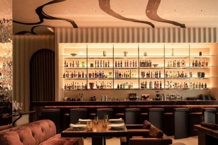 Singapúr  Mondrian Singapore Duxton 7 dňový pobyt Bez stravy Letecky Letisko: Viedeň January 2026 ( 7/01/26-13/01/26)