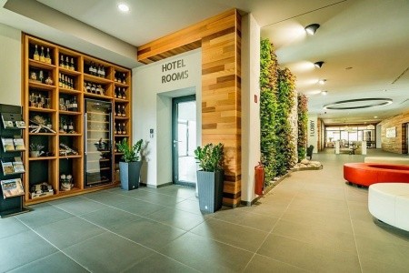 Slovensko Vysoké Tatry Horizont Resort 4 dňový pobyt Polpenzia Vlastná December 2025 (10/12/25-13/12/25)