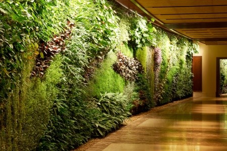 Sofitel Dubai The Palm Resort & Spa & Luxury Apartments