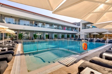 White Olive Premium Laganas - 72