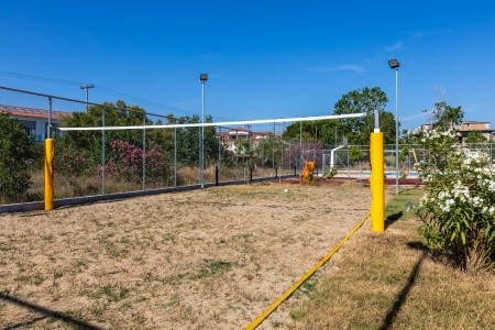 White Olive Premium Laganas - 74