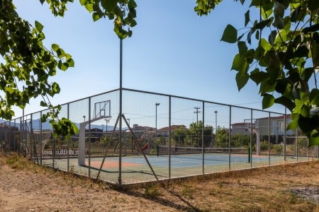 White Olive Premium Laganas - 75