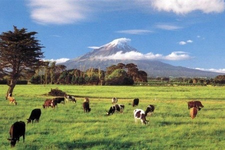 Austrálie - Nový Zéland