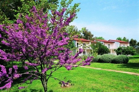 Chorvátsko Istria Ai Pini 5 dňový pobyt Bez stravy Vlastná May 2026 ( 9/05/26-13/05/26)