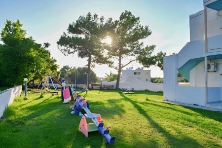 Summer Dream - 11