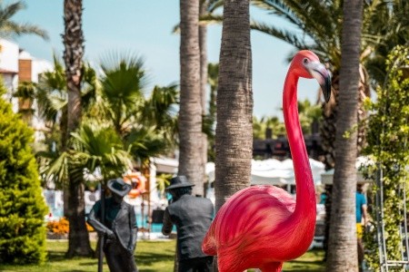 Turecko Belek Belek Beach Resort 8 dňový pobyt All Inclusive Letecky Letisko: Praha August 2025 (11/08/25-18/08/25)