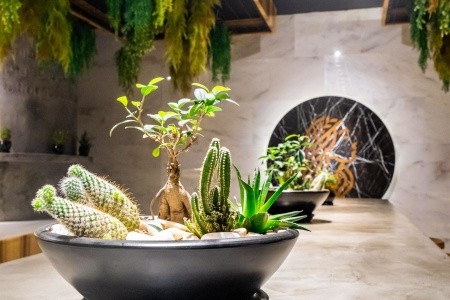 Selene Beach & Spa (Ex. Numa Beach) - 187