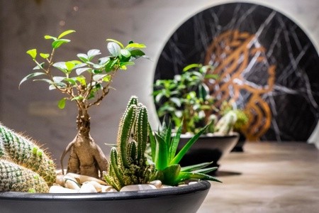 Selene Beach & Spa (Ex. Numa Beach) - 189