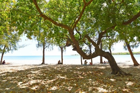 Maurícius Tamarin Tamarin By Veranda 10 dňový pobyt All Inclusive Letecky Letisko: Praha October 2025 (11/10/25-20/10/25)