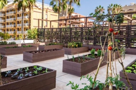 Kanárske ostrovy Tenerife Be Live Adults Only Tenerife 10 dňový pobyt All Inclusive Letecky Letisko: Budapešť April 2026 (21/04/26-30/04/26)