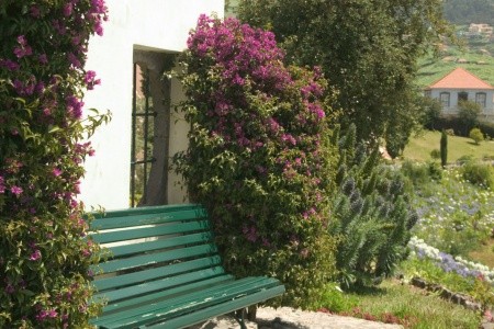 Madeira  Quinta Do Estreito 8 dňový pobyt Polpenzia Letecky Letisko: Praha October 2025 (20/10/25-27/10/25)