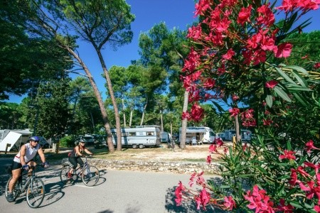 Zaton Holiday Resort - 18