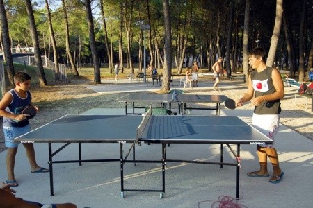 Zaton Holiday Resort - 42