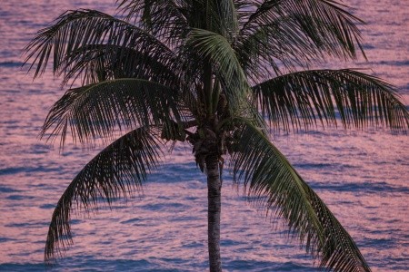 Sandals Montego Bay - 223