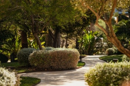 Španielsko Mallorca Secrets Mallorca Villamil Resort & Spa 5 dňový pobyt Raňajky Letecky Letisko: Praha July 2026 ( 1/07/26- 5/07/26)