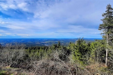 Rathaushotel Oberwiesenthal - 17