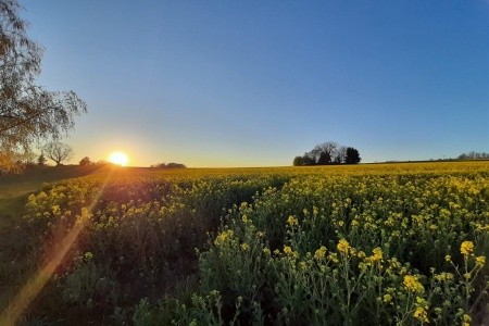 Rathaushotel Oberwiesenthal - 18