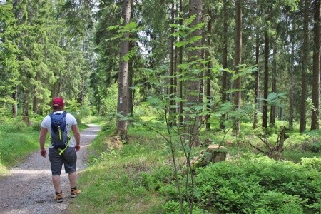 Rathaushotel Oberwiesenthal - 21